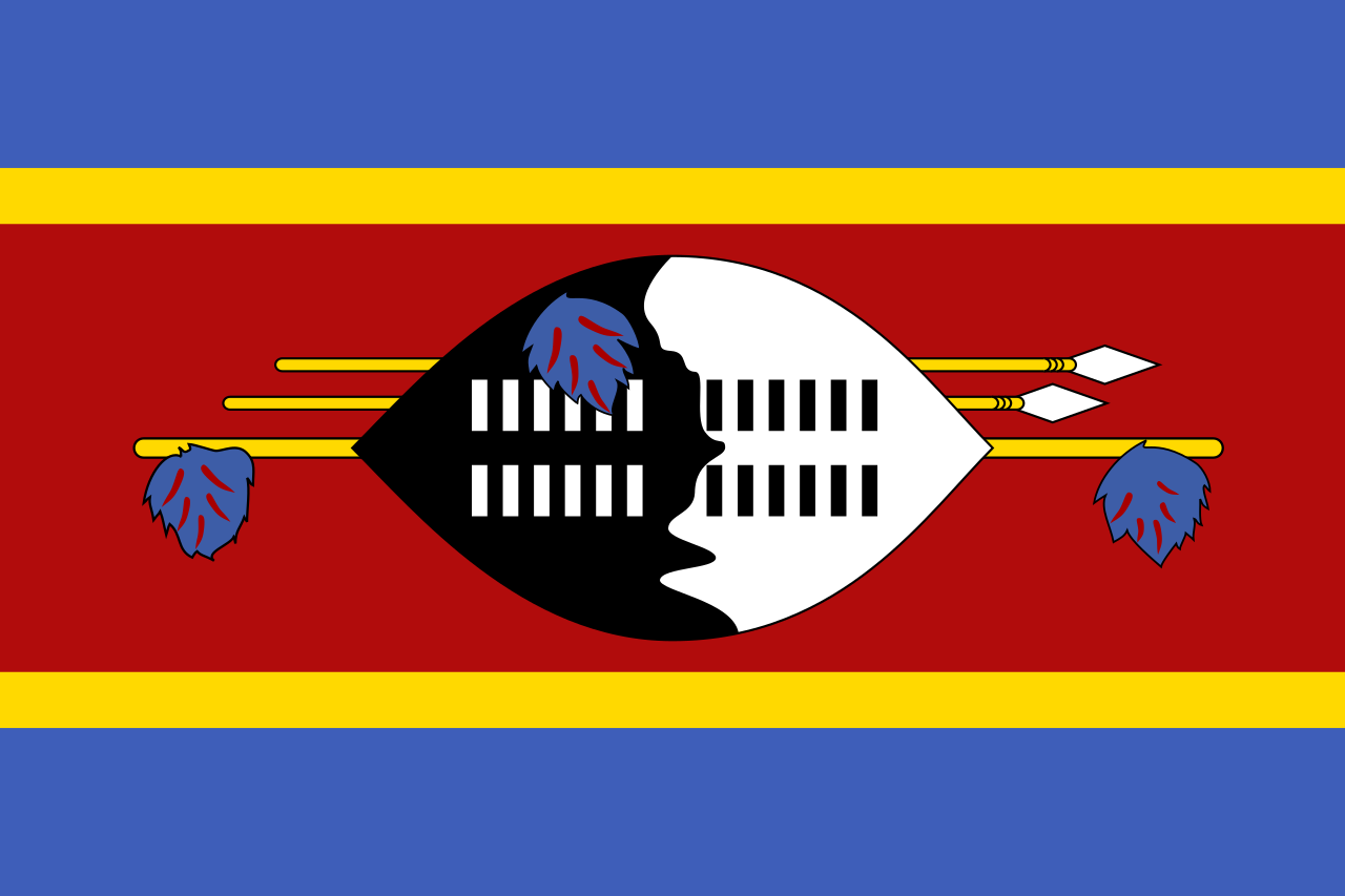 Pasfoto eisen Swaziland vlag ASA FOTO Amsterdam