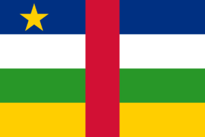 Pasfoto eisen Centraal Afrikaanse Republiek vlag ASA FOTO Amsterdam