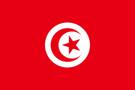 Pasfoto eisen Tunesië vlag ASA FOTO Amsterdam