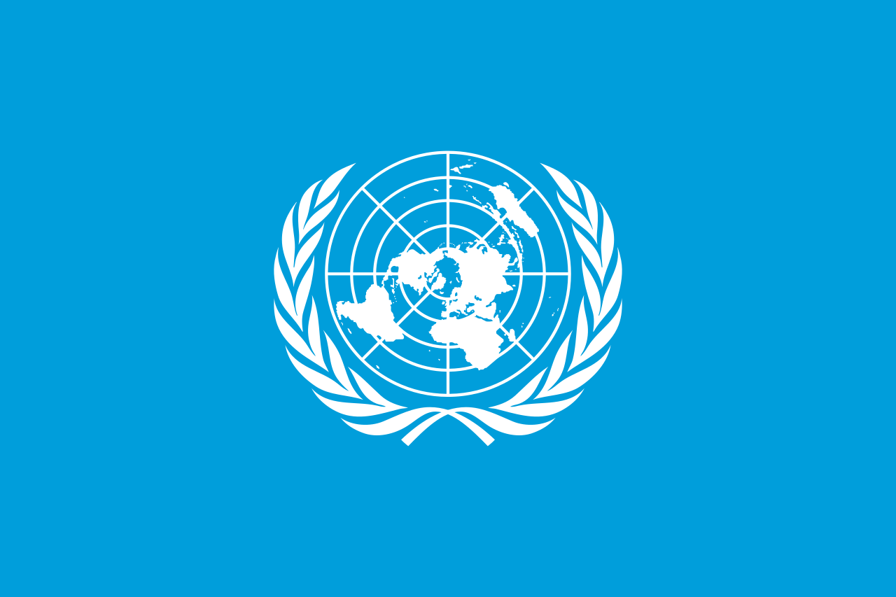 Pasfoto eisen Verenigde Naties vlag ASA FOTO Amsterdam
